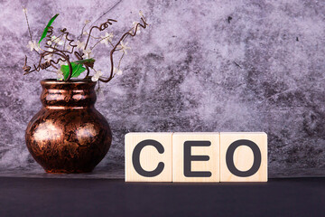 Word CEO made with wood building blocks on a gray background