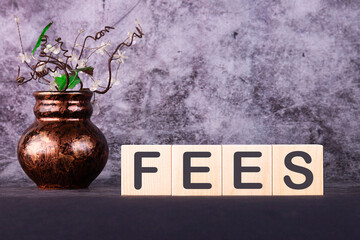 Word FEES made with wood building blocks on a gray background