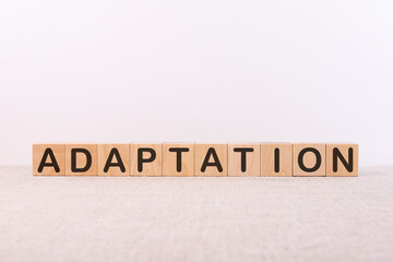 Word ADAPTATION is written on wooden blocks on a light background.