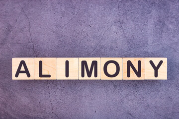 ALIMONY word made with building blocks on a grey background