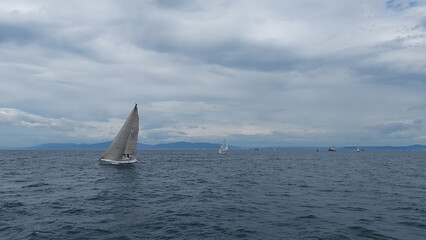 Obraz premium Yachts during a regatta in the Amur Bay near Vladivostok