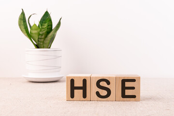 Word HSE made with wood building blocks on a light background