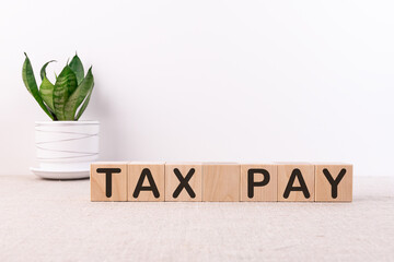 TAX PAY word concept written on wooden blocks lying on a light table with a flower in a flowerpot...