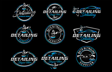 Vector logo for detailing car and tuning template