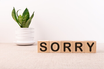SORRY word concept written on wooden blocks lying on a light table with a flower in a flowerpot on...