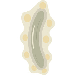Microbes Bacteria Illustration