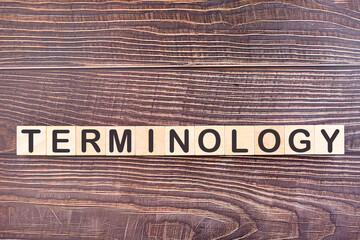 TERMINOLOGY word made with wood building blocks