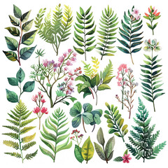 Broad variety of plant species in a clipart style, painted with pastel watercolors, showcasing natural diversity