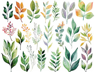 Clipart assortment of various plants, delicately painted in soft pastel watercolors for a natural and artistic effect
