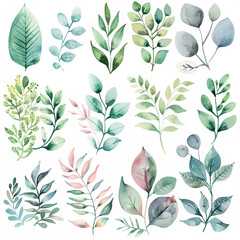 Lush watercolor clipart collection of diverse plant life, rendered in soothing pastels for a tranquil vibe