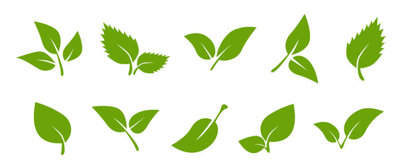Set of black leaf icons. Leaves of trees and plants. Leaves on white background. Ecology. Vector illustration.