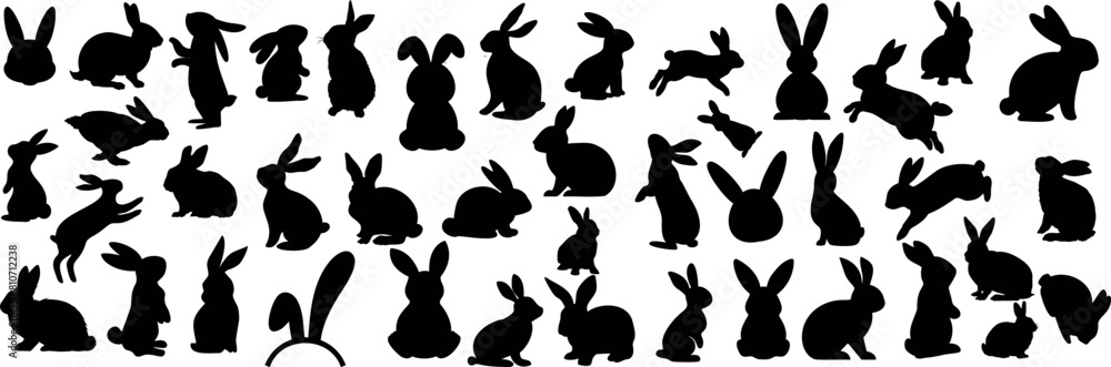 Wall mural rabbit silhouettes, various bunny vector lively poses, rabbit, bunny, hare on white background. perf