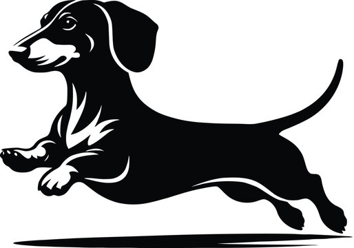 dog breed silhouette  
