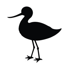 silhouette of a animal avocet on white