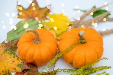 
Still life with autumn thousand, maple leaves and leaves. Cozy composition with garlands. Autumn aesthetic concept. 