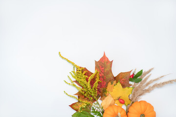 Fototapeta premium Still life with autumn thousand, maple leaves and foliage. Cozy composition bouquet on a white background. Autumn aesthetic concept. Copy space.