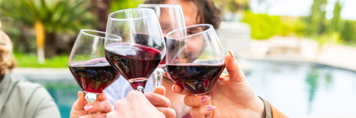 Close Up Shot of People Cheers, Making Toasts and Touch with red Wine - People Drink wine enjoy - Happy friends having fun outdoor - A group of girlfriends raise a toast with glasses of white colored 