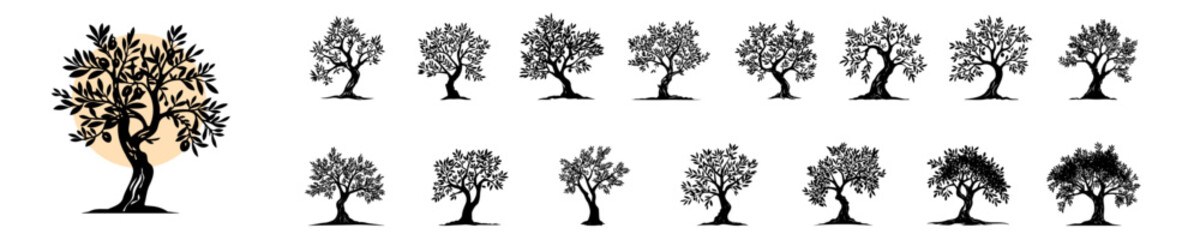 Nature's Emblem Olive Tree Vector Bundle