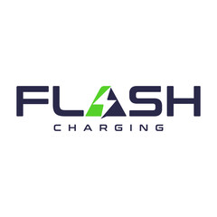 Flash icon, energy logo vector design