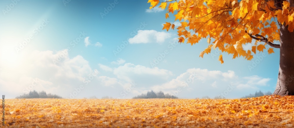 Poster autumn park scenery with vibrant leaves against a backdrop of the sky perfect for a copy space image
