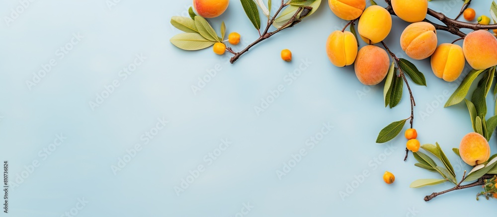 Fototapete A top down view of a flat lay arrangement featuring two branches with yellow leaves and plums on a light blue background The composition includes a frame blank paper and ample copy space