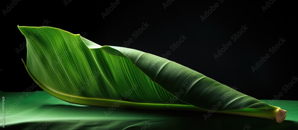 Poster A folded banana leaf is seen in the image leaving empty space around it. Creative banner. Copyspace image