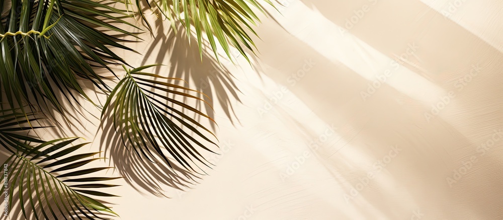Aufkleber summer concept with a creative minimal design featuring an abstract background of tropical palm leav