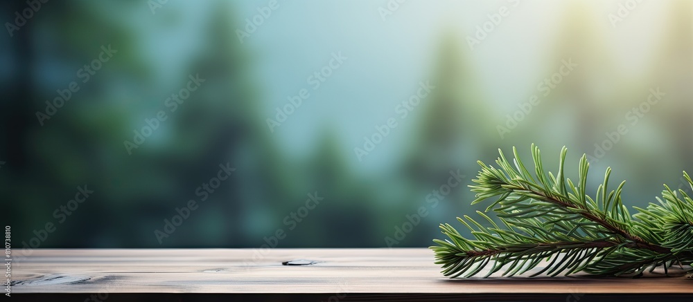 Aufkleber Copy space image of a fir tree branch resting on a wooden table