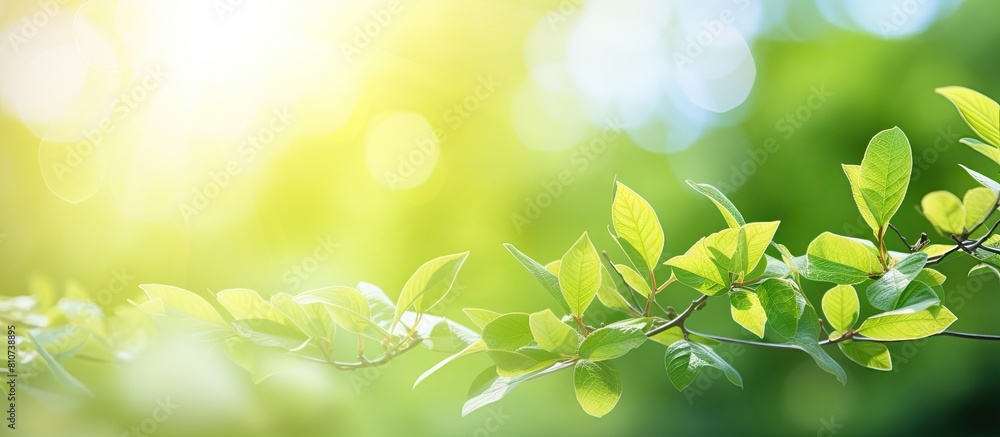 Poster a vibrant summer scene with blur foliage and sunlight creating a bokeh background for copy space ima