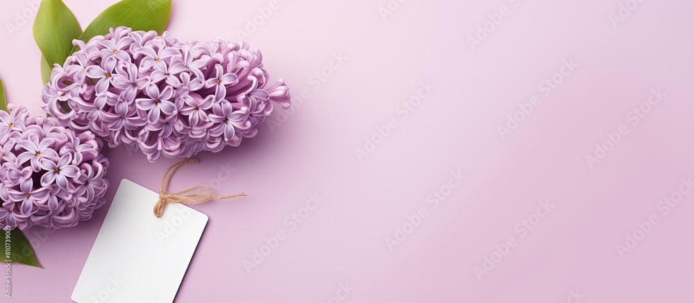 Leinwandbilder top view of a lilac hyacinth placed on a pastel pink background alongside an empty paper tag the fla