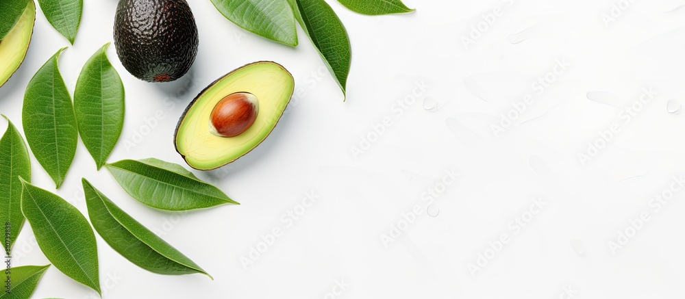 Poster A tropical abstract background featuring an avocado and leaf on a white backdrop Presented in a flat lay style with a top view allowing for copy space in the image