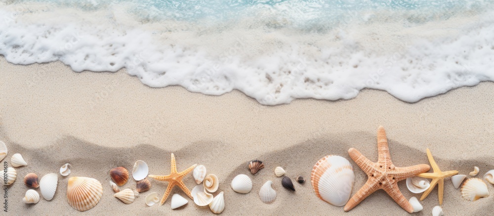 Poster copy space image with seashells stones and sea stars scattered on the sandy beach creating a summer 