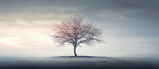 A tree with no leaves providing a copy space image