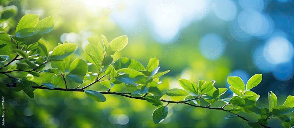 Poster a vibrant summer scene with blur foliage and sunlight creating a bokeh background for copy space ima