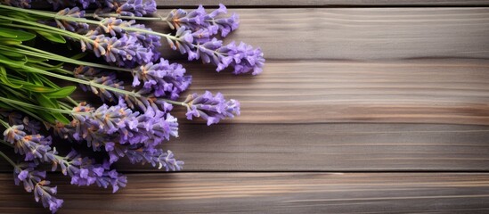 Top view of a bouquet of fresh lavender flowers on a wooden background creating a copy space image for your text