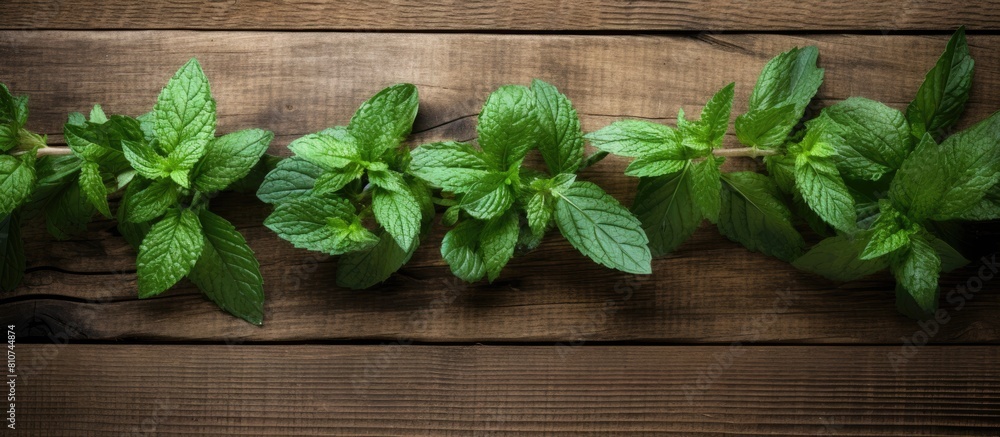 Poster top down view of a copy space image featuring fresh and fragrant mint leaves arranged on a rustic wo