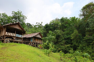 Scenery of lush jungle at Bukit Lawang - Gunung Leuser National Park
