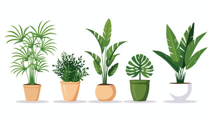 Four of different foliage indoor plants for house