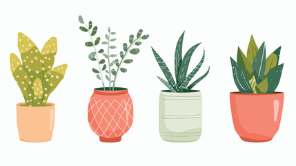 Four of different houseplants in pots vases boxes