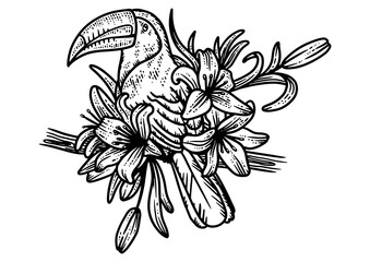 toucan and lilies sketch PNG © Oleksandr Pokusai