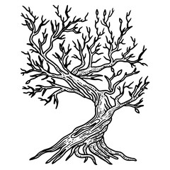 tree without leaves sketch PNG illustration