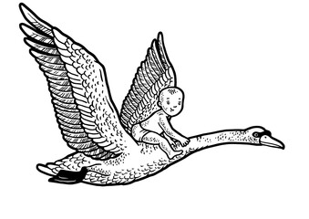 Obraz premium baby flying by swan sketch PNG illustration