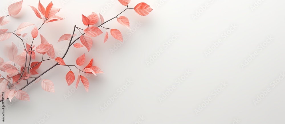 Poster a minimalistic concept with a nature theme featuring a top down view of pastel background with tree 