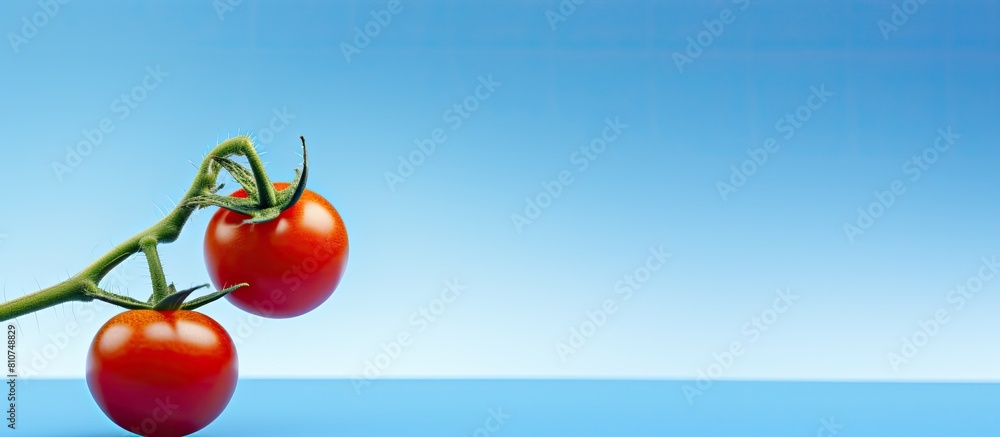 Poster The left side of the image features a fresh cherry tomato with its stem standing out against a blue background offering room for additional content
