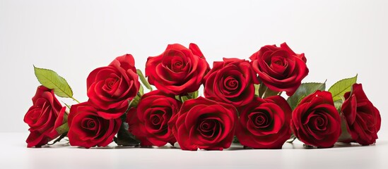 A stunning image featuring vibrant red roses set against a crisp white background Perfect for adding copy space to your design