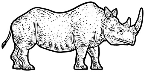 rhinoceros sketch engraving PNG illustration. T-shirt apparel print design. Scratch board imitation. Black and white hand drawn image.