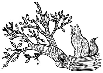 cat sits on a tree sketch engraving PNG illustration. T-shirt apparel print design. Scratch board imitation. Black and white hand drawn image.