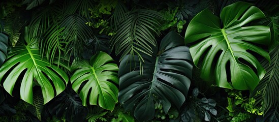 Obraz premium A green tropical leafy background with a minimal and exotic summer vibe perfect for a copy space image