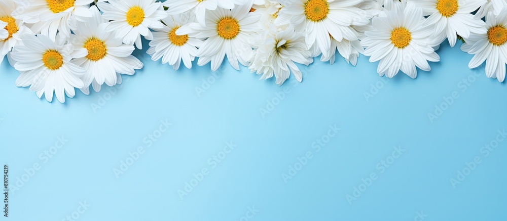 Aufkleber a floral arrangement of yellow and white daisies and petals on a blue background with blank letter p