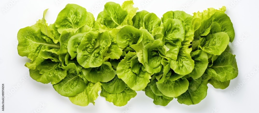 Aufkleber top view of a fresh green batavia lettuce salad head isolated on a white background with copy space 